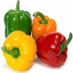 Color Capsicum